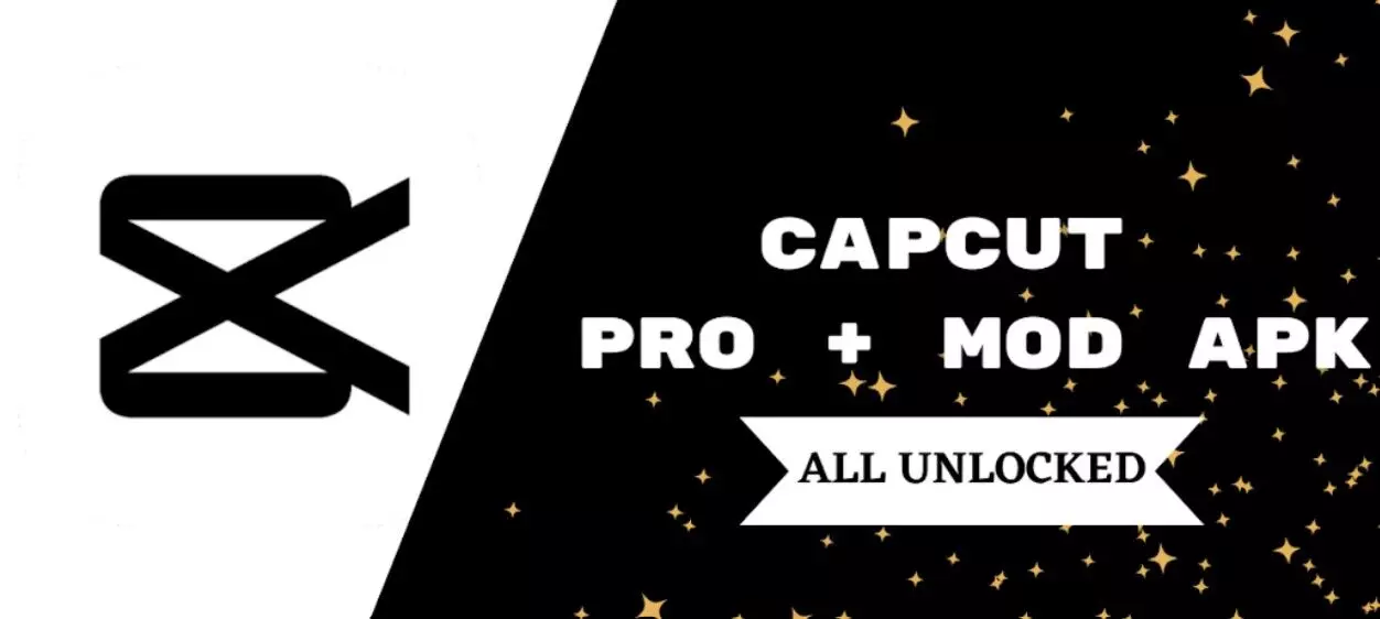 CapCut Pro All Premium Features Unlocked Without Network Connection Error