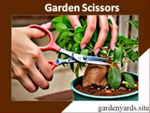 Garden Scissors – Fine trimming made simple.
