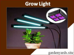 Grow Light – Boost indoor plant growth.