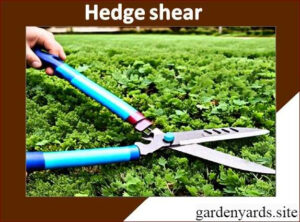 Hedge Shears – Perfect hedge shaping.