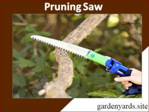 Pruning Saw – Tackle thick branches.