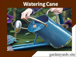 Watering Can – Gentle plant watering.