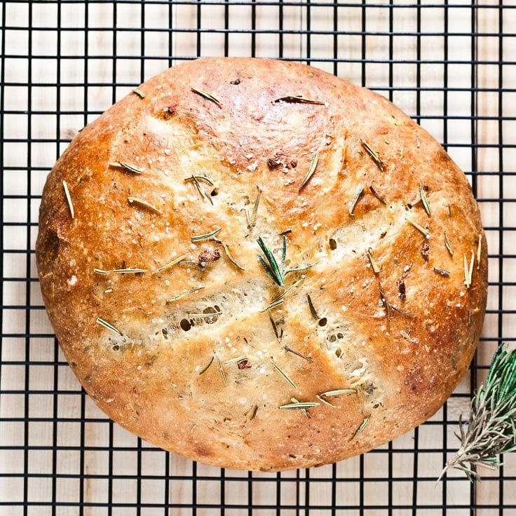 Gluten Free No-Knead Garlic Bread